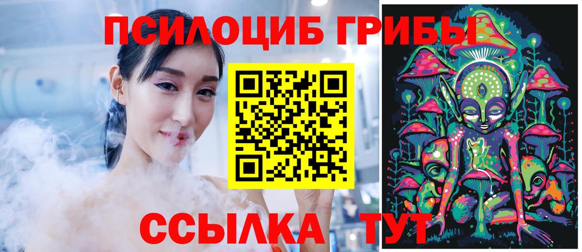 Галлюциногенные грибы прущие грибы Зерноград